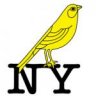 NY Canary